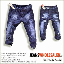 Men Regular Damage Jeans