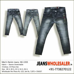 Men Regular Jeans With Embroidery