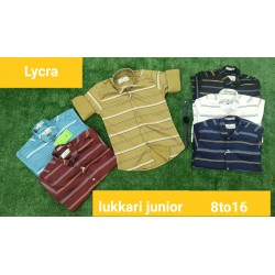 Boy's Lycra Lining Shirts